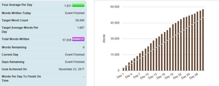 nanowrimo2